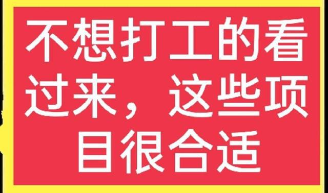 最新比较火的公司，揭秘其成功之道与未来趋势，揭秘热门公司成功秘诀及未来发展趋势