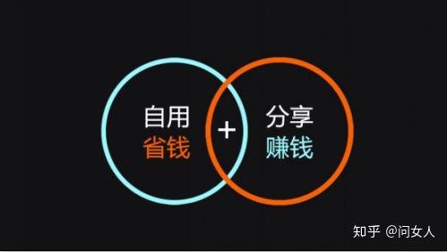 最新最火共享项目——探究共享经济的未来发展之路，最新热门共享项目，揭示共享经济的未来发展趋势