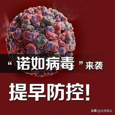 北京病毒感染最新情况，全面解析与应对策略，北京病毒感染最新情况解析及应对策略探讨