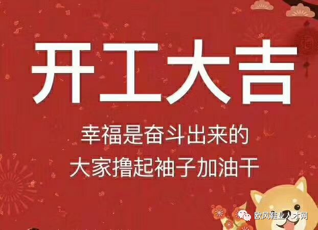 新晨公司最新招聘动态及求职指南，新晨公司招聘动态更新与求职指南